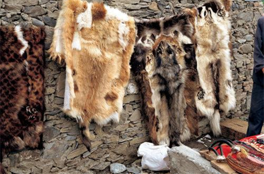 尼布楚条约,中国看似赢了,其实吃了大亏,很多人都没想到