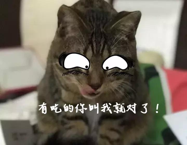 德芙士力架雪糕测评,德芙士力架巧克力测评