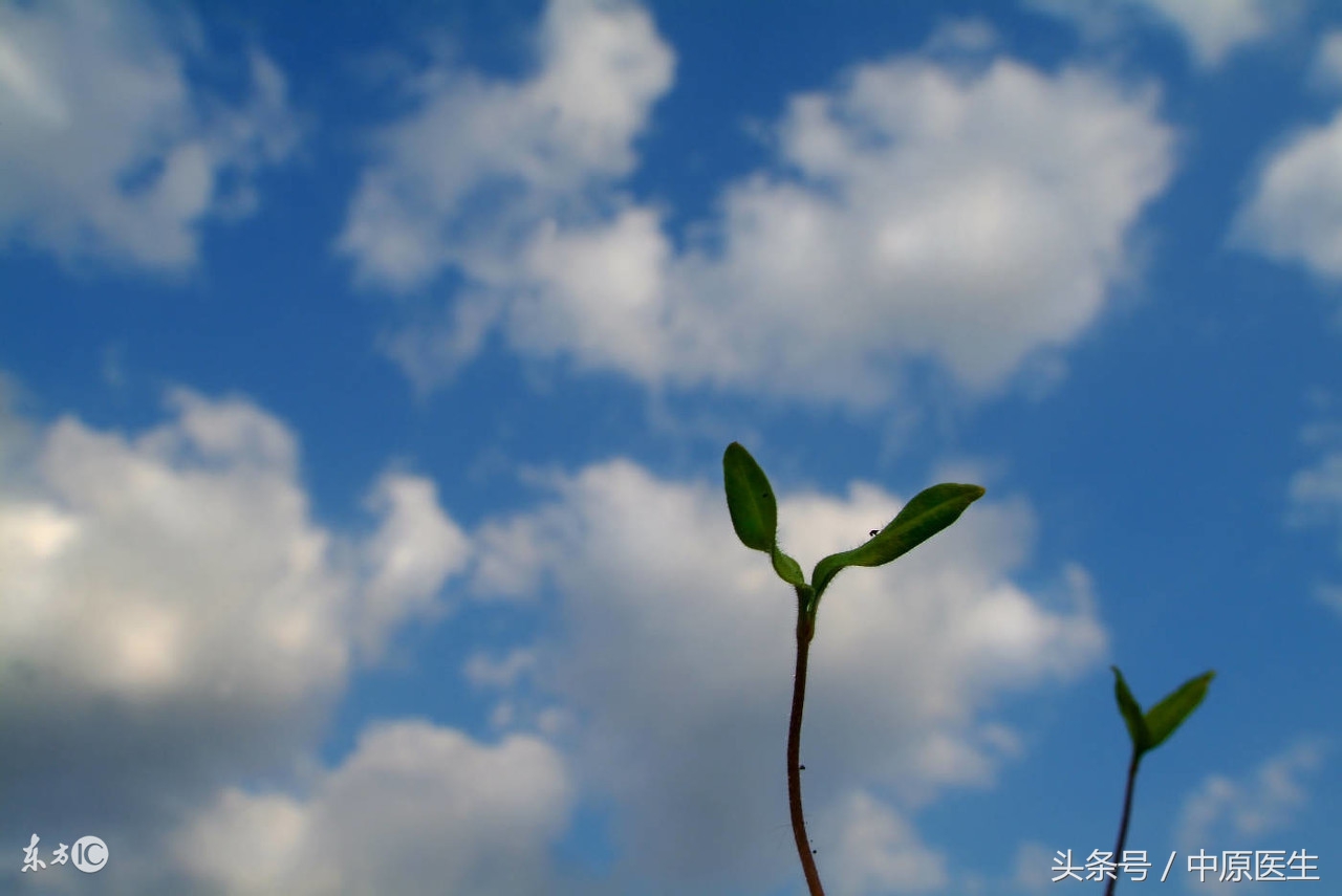 医生说癌症活不过半年可信吗,癌症手术后熬过一年的概率