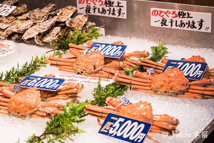 日本金泽旅游,日本金泽美景