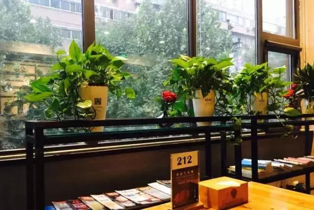 郑州袋鼠先生西餐厅,郑州丹尼斯七天地西餐厅