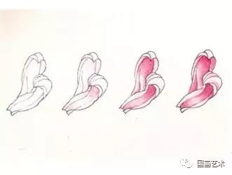工笔菊花画法步骤示范,工笔菊花设色步骤