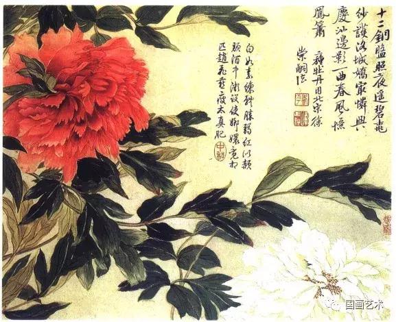 国色天香写意牡丹画,画写意牡丹用什么纸