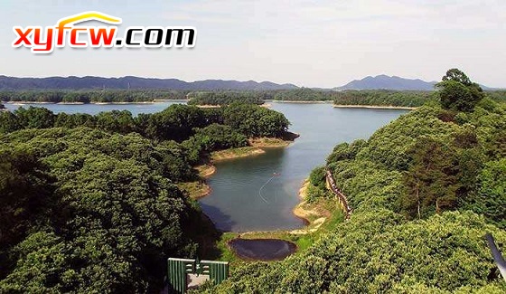 信阳好房实景观看,信阳好小区