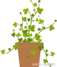 逛吃逛吃一下午,逛吃逛吃光吃不胖