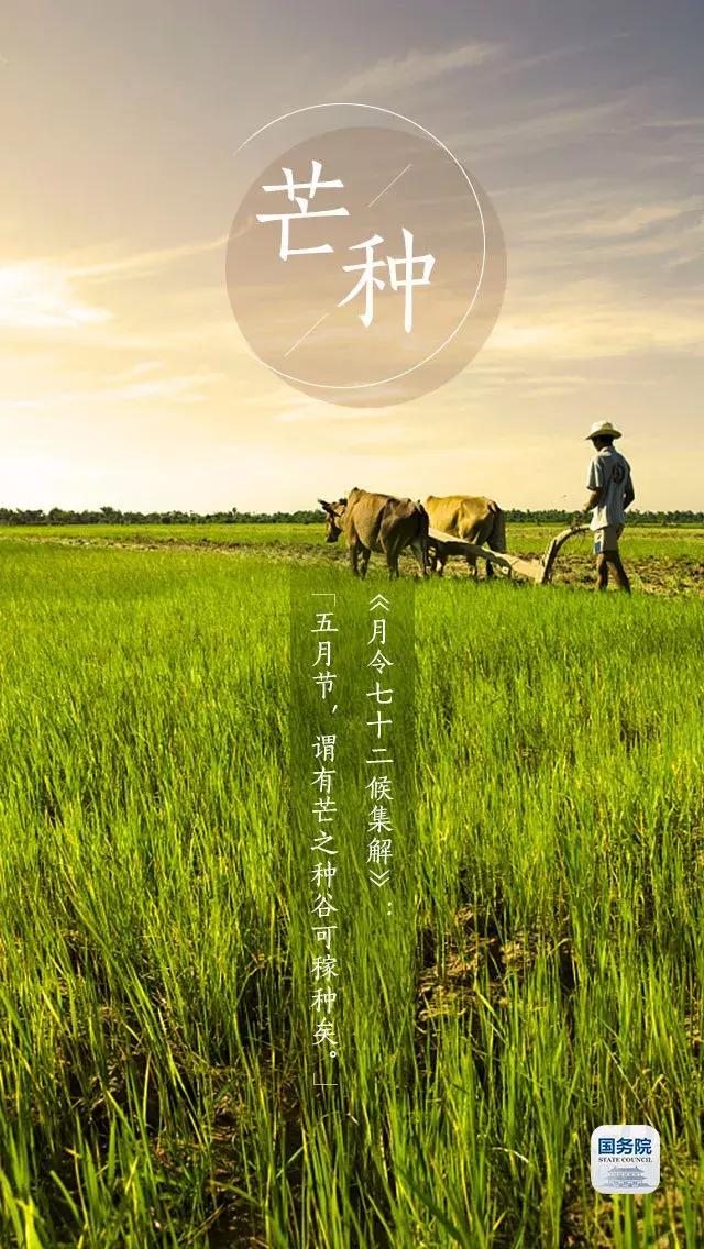 一张图上包含二十四节气壁纸,高清中国插画二十四节气壁纸