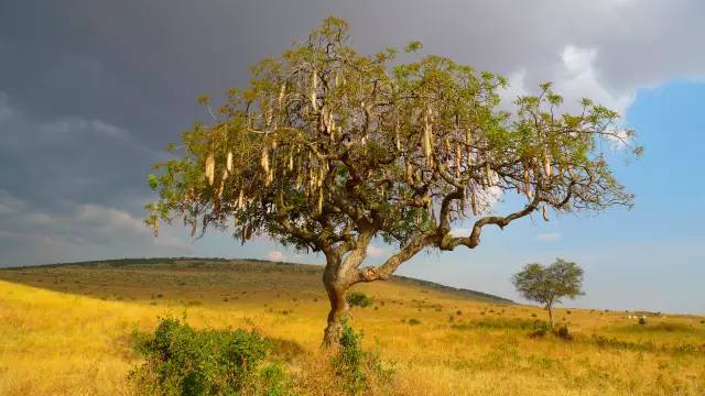 十首中国最美的长篇现代诗,十首现代最美诗