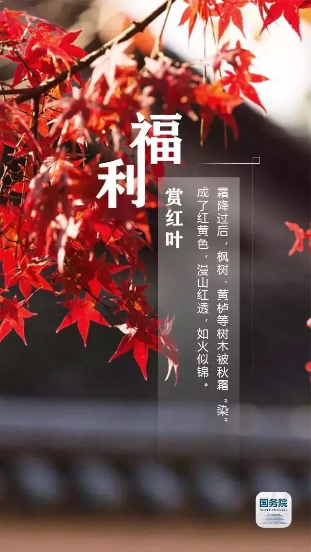 一张图上包含二十四节气壁纸,高清中国插画二十四节气壁纸