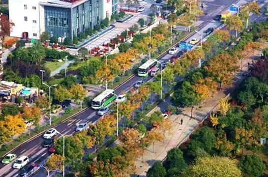 12月武汉一大波好消息集中爆发！条条都和你息息相关！