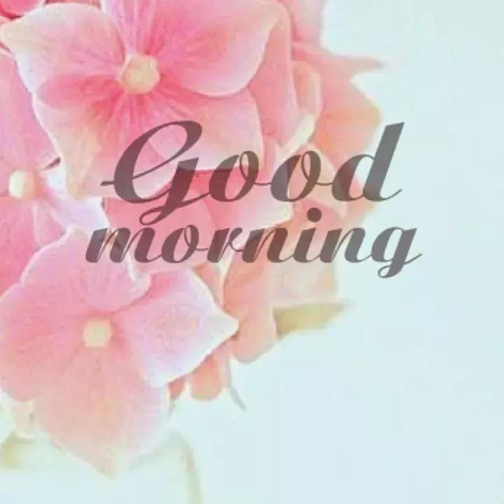 周一早上好最漂亮的早安问候语,早上好祝福问候语大全简短一点