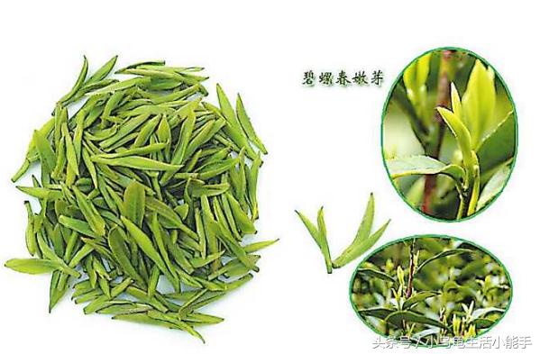 中国十大名茶分别是哪十种茶,安徽名茶中被列为中国十大名茶