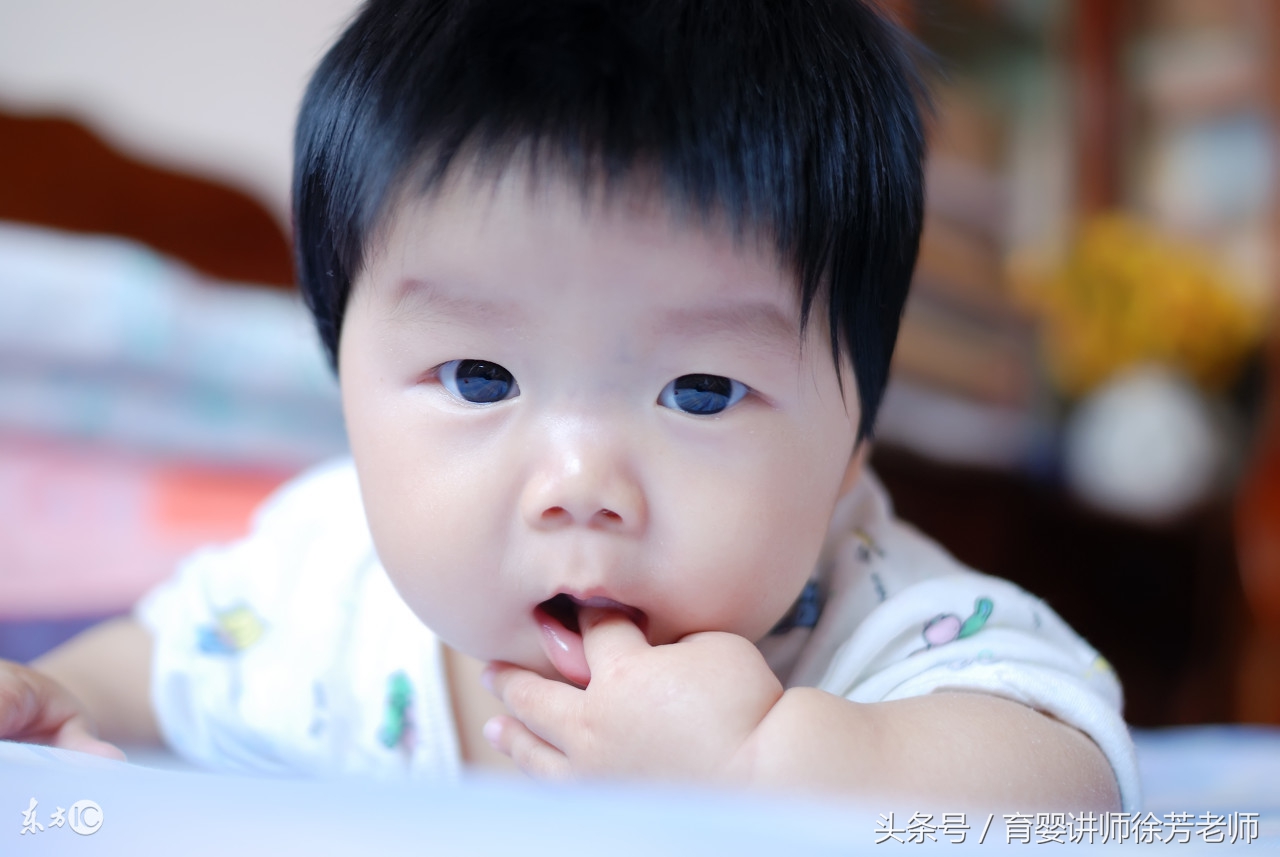 宝宝贫血食补哪些好?这4类食物补铁效果最好,建议收藏转发