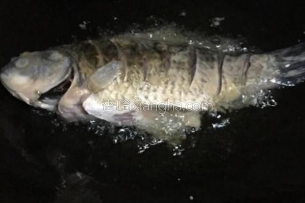 鱼炖豆腐的最正宗视频,鱼炖豆腐汤怎么做