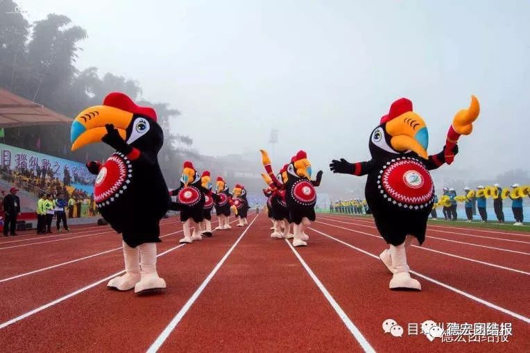 德宏州州运会开幕式,德宏陇川盛会