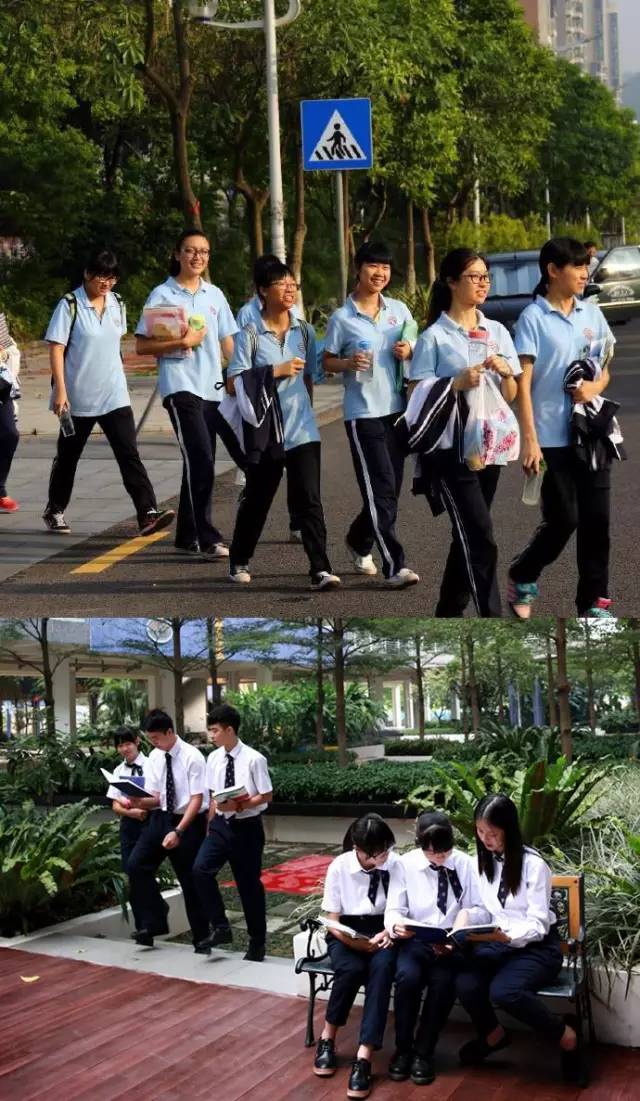 广东最美校服出炉,广东最美中学校服视频