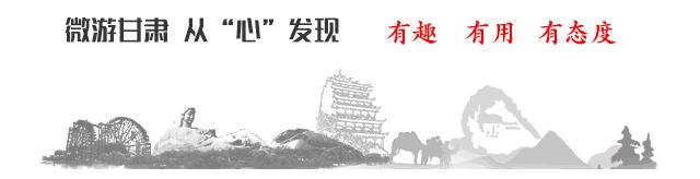 敦煌特产李广杏价格,敦煌杏子有哪些