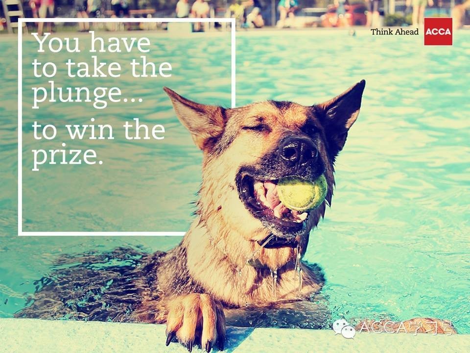 大学里学习ACCA的高能苦逼体验,你有吗?