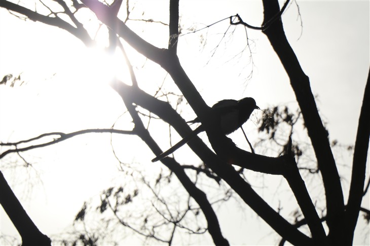 佳能eos80d拍照怎么样,七年前的佳能eos80d相机值得入手