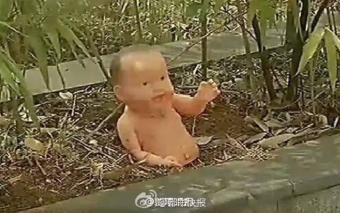 这是艺术？|美院学生让花坛“长”娃娃寓意破土而生？多少人的审美观崩塌了