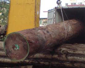 木头虫价格,沙比利木材价格