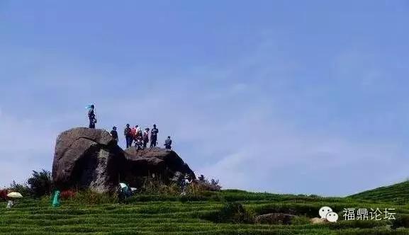 福鼎市区的山,福鼎市最值得爬山的地方