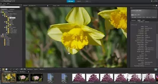 免费设计房子装修效果图软件,房屋设计软件免费自己设计