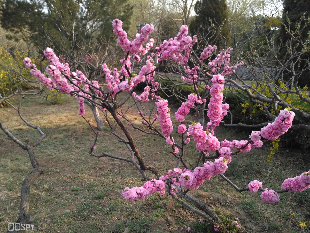 加价200元性价比是否还在?红米3高配版评测