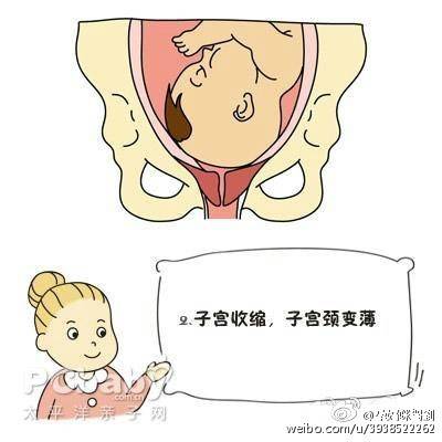 分娩子宫峡部变化,子宫颈细胞变化