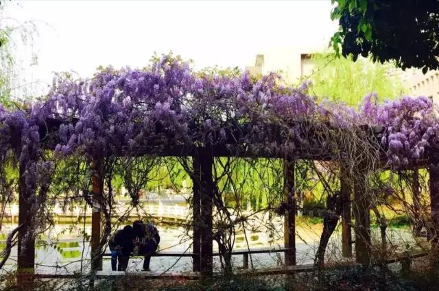 中南民族大学值得学吗,中南民族大学值得读吗