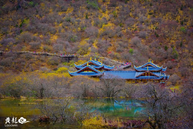 鍛宠暰娴佽繛蹇樿繑,鍛宠暰鐣欐亱