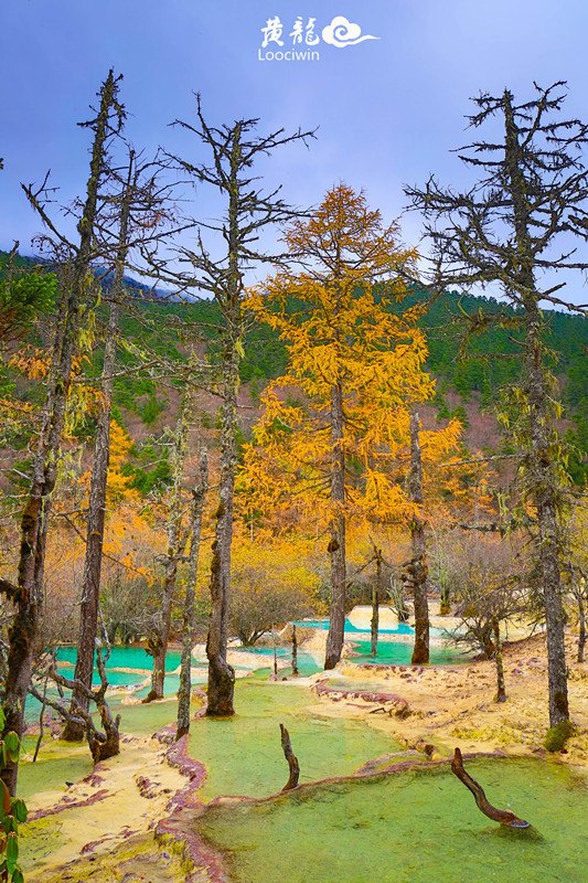 鍛宠暰娴佽繛蹇樿繑,鍛宠暰鐣欐亱