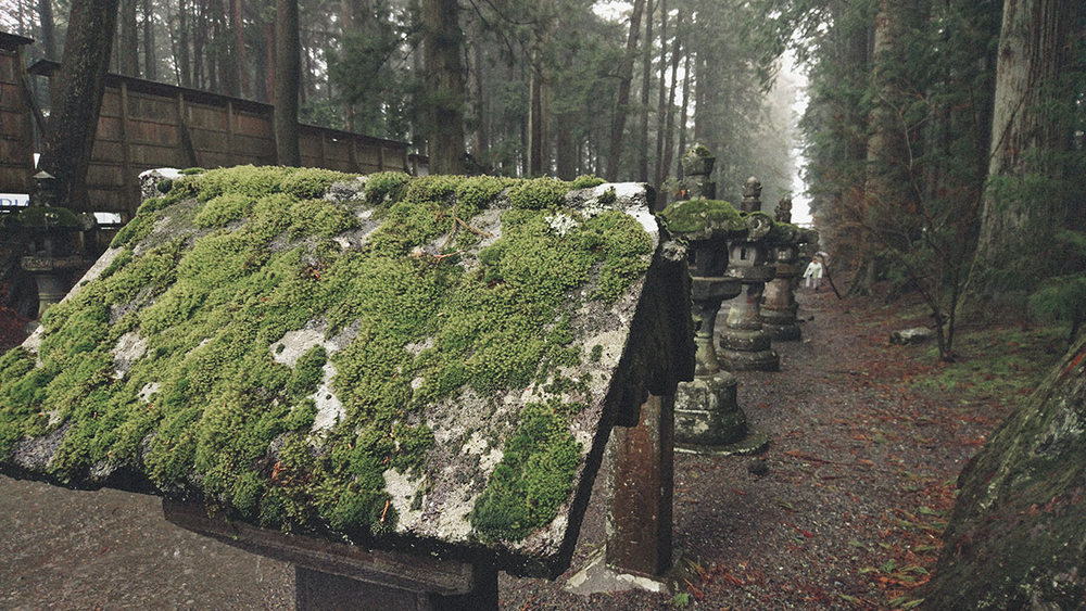 #与索尼为5#赏樱之旅之三：暴雨中方见机身防水之本色！