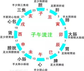 经络疏通一通百通,十二经络易堵塞穴位合集