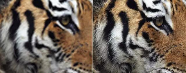 从1千到1万的声音,100到1万耳机对比