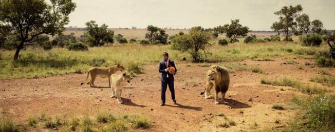 男子与三头狮子踢足球，名义上是保护动物，而真实原因竟是这！