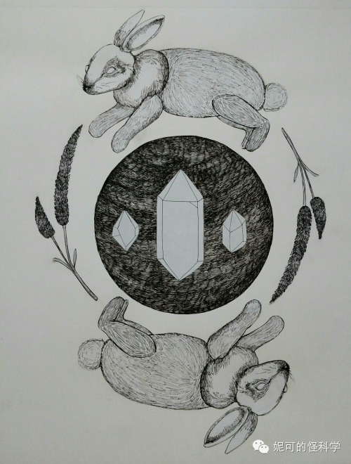 女生生兔子宝宝,女人生兔子