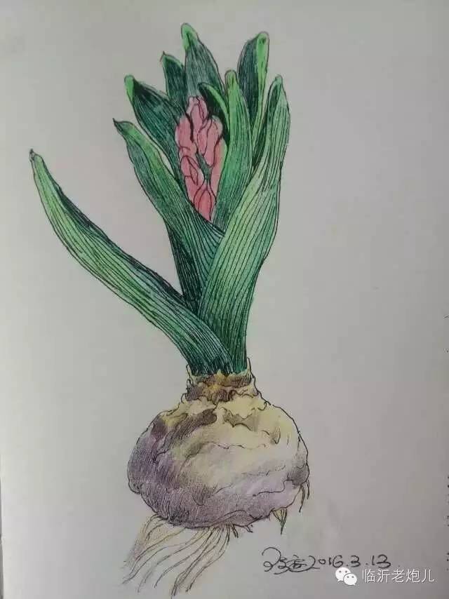 带上手鼓去旅行,带着旅行箱去旅行绘画