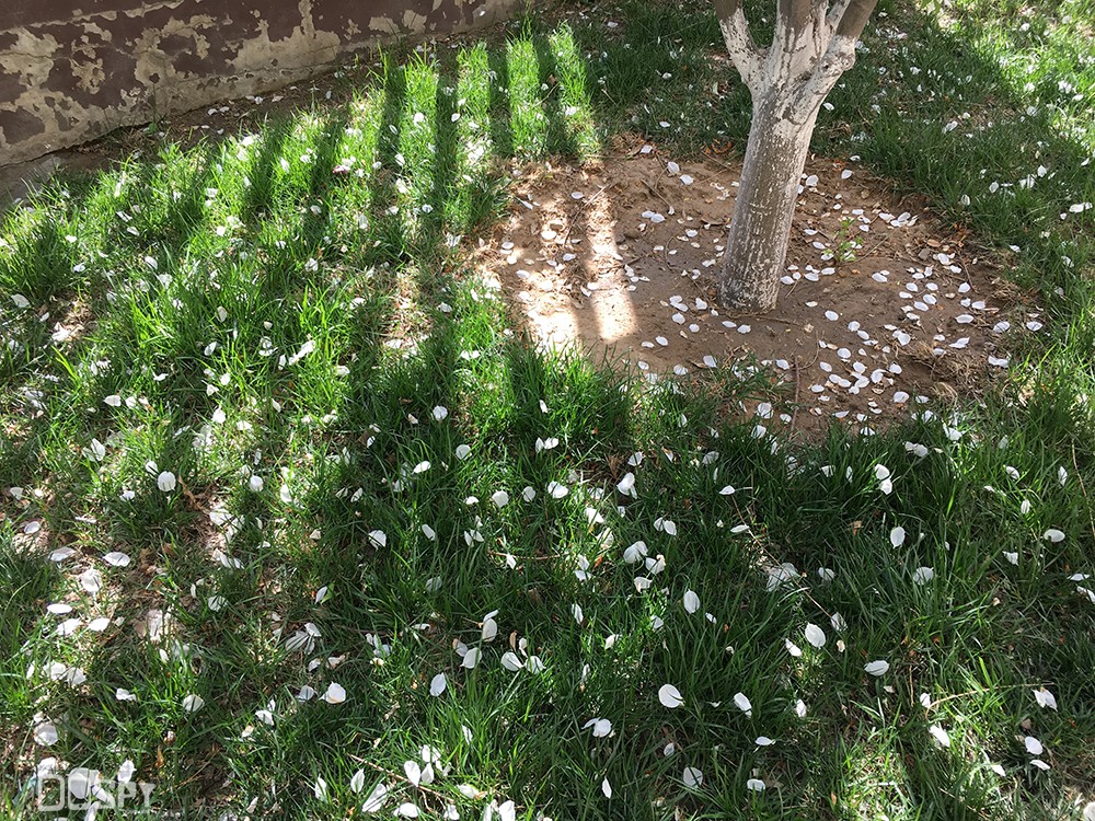 商务的外表商务的芯金立天鉴W909翻盖旗舰手机评测