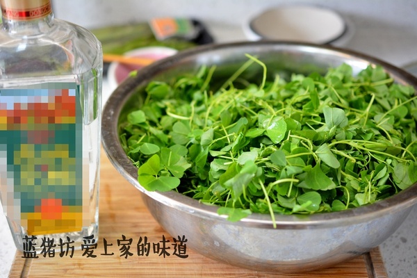 春天吃的野菜大全配图片和名字,春天的野菜有哪些能做菜吃