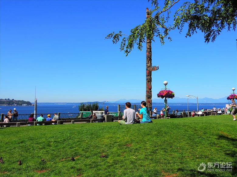 西雅图油价,西雅图油价多少钱