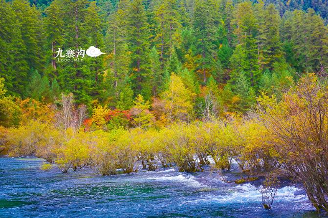 鍛宠暰娴佽繛蹇樿繑,鍛宠暰鐣欐亱