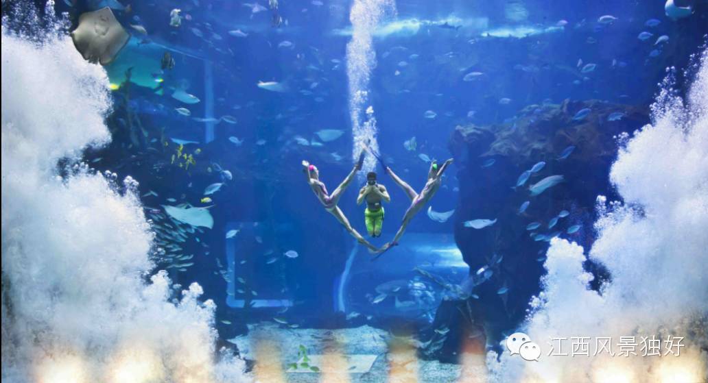 南昌万达海洋乐园在哪里,南昌万达海洋乐园主题公园