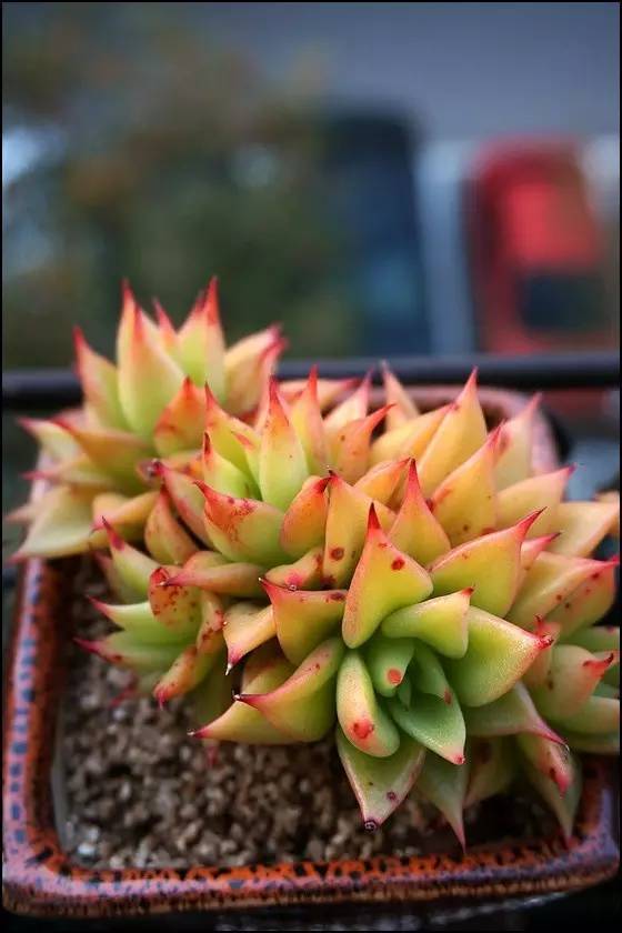 直播间不退不换的韩货,未来直播带货会持续红火吗