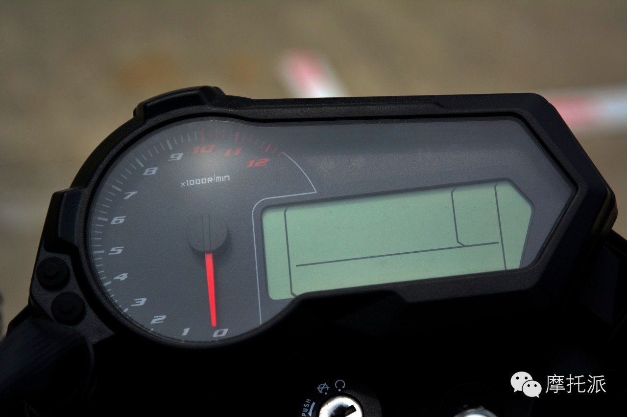 贝纳利小暴龙暴力吗,贝纳利小暴龙最详细的介绍