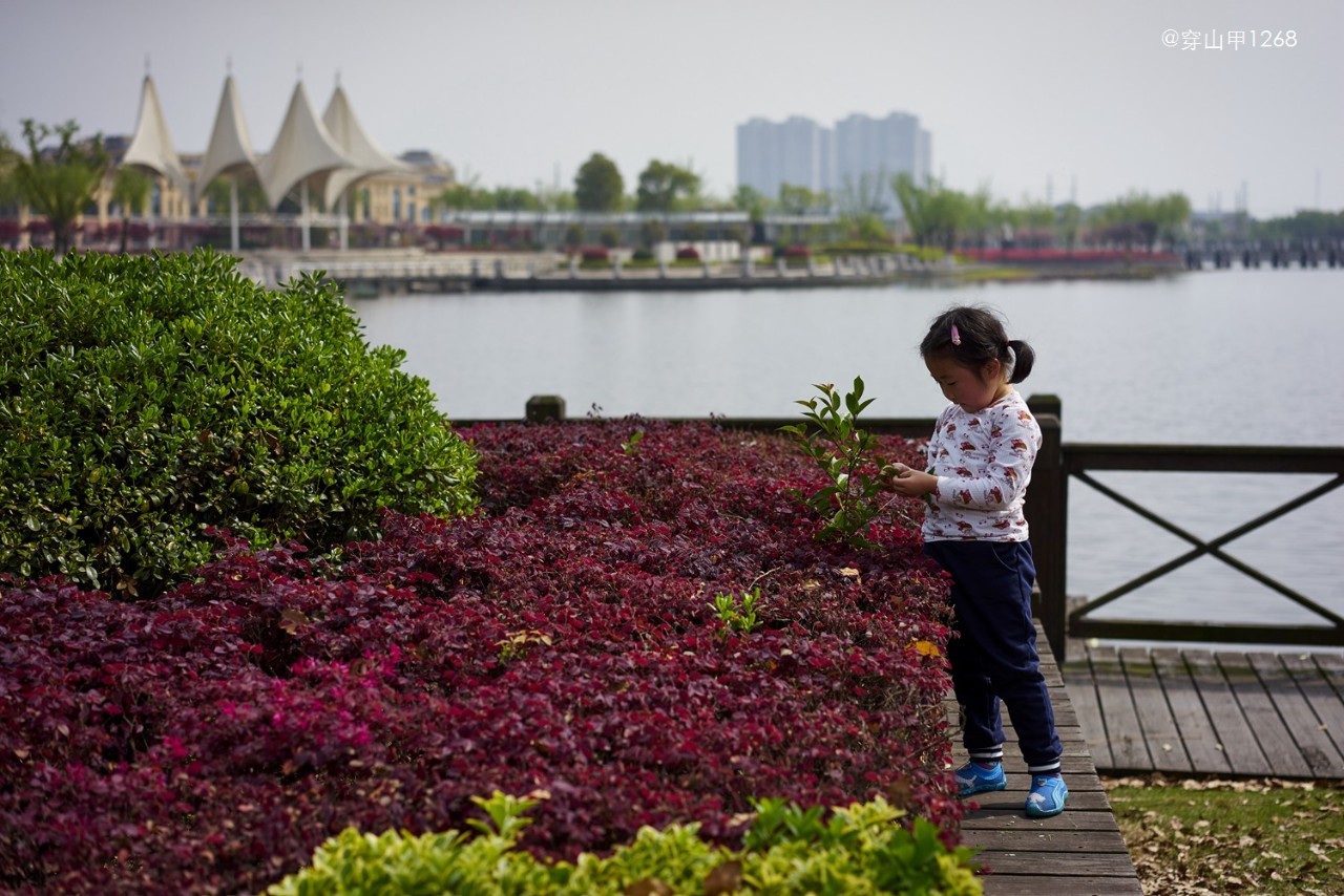 无锡农历四月二十玉祁镇庙会,三月三无锡哪个地方庙会