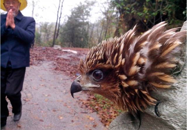 一些人其实是放生实则是杀生,放生又杀生有什么罪过