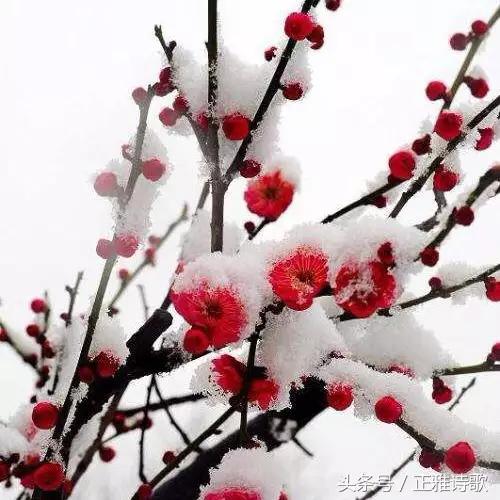 老年人过世后社保卡怎么处理,老人去世了社保卡里钱怎么取