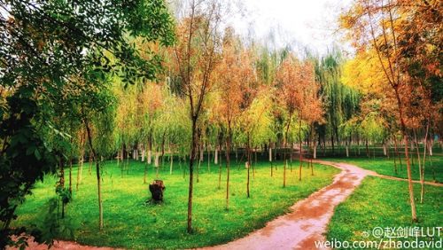 初印象认识自己,初印象英文