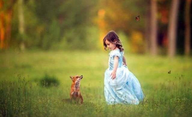 孩子害怕小动物怎么办,看见小动物就害怕怎么办