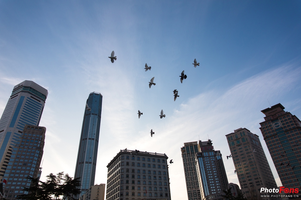 带上跑鞋去旅行,带着马去旅游的车